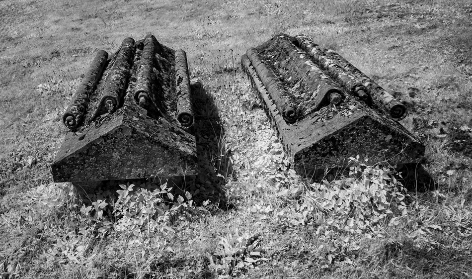 WI895 Newenden 19 07 24